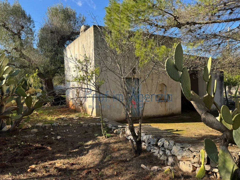Masia a Ostuni, Brindisi - foto 4
